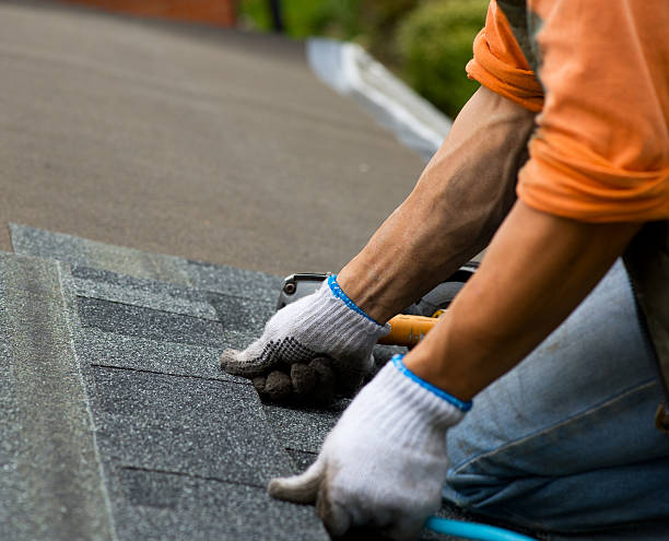 Fast & Reliable Emergency Roof Repairs in Punta Gorda, FL